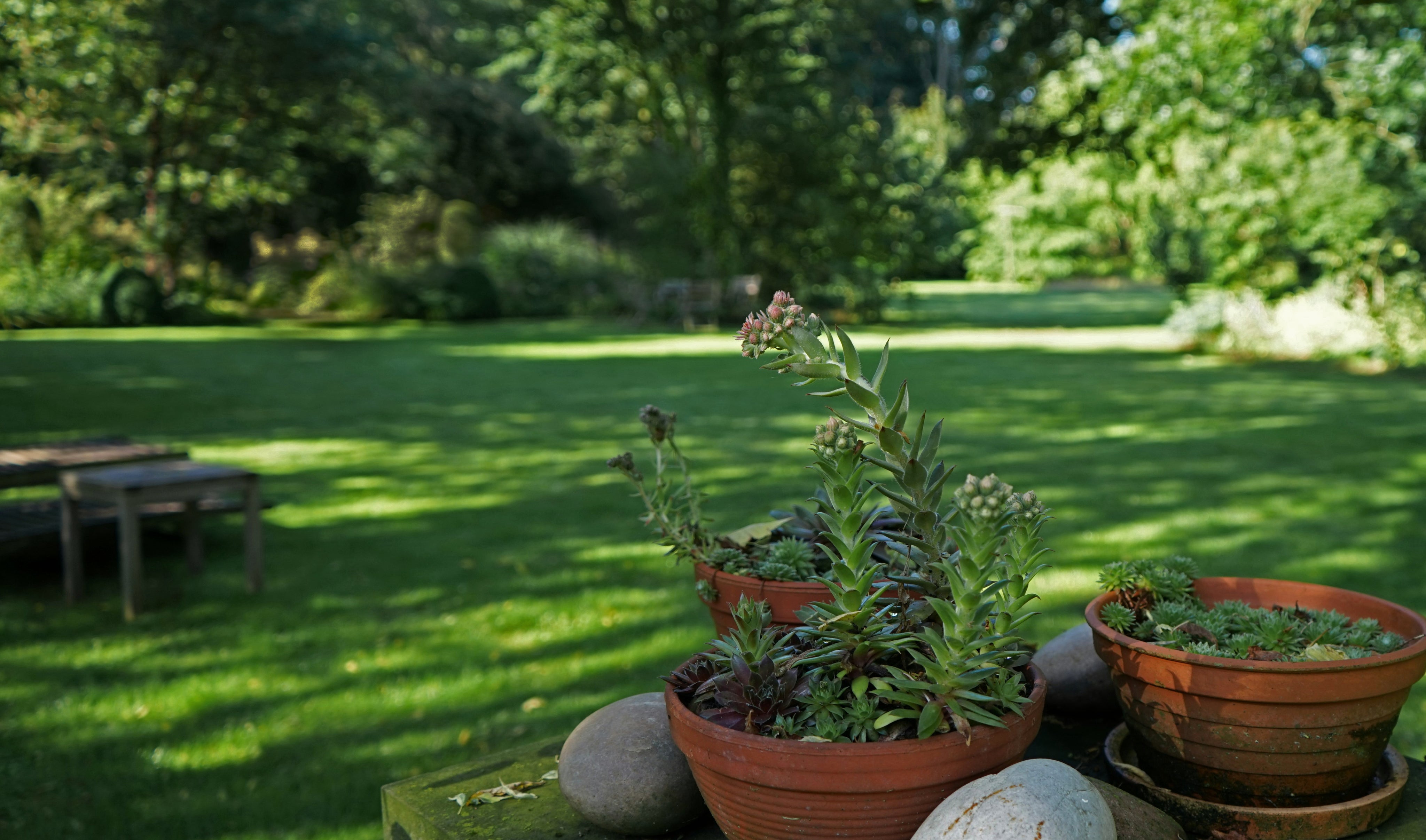 Bonnes affaires - Abri de jardin