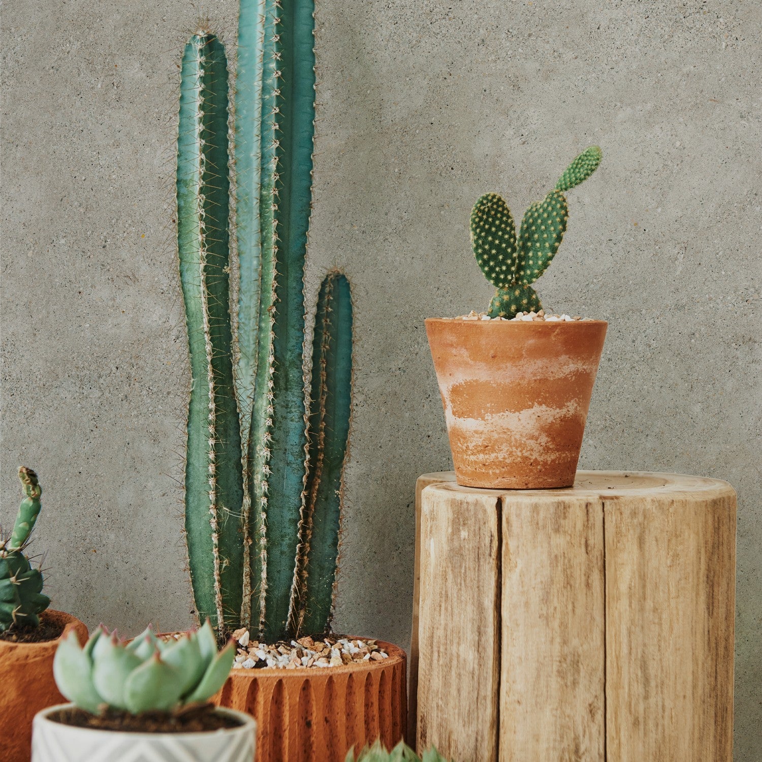 Revêtement Element 3D Grigio