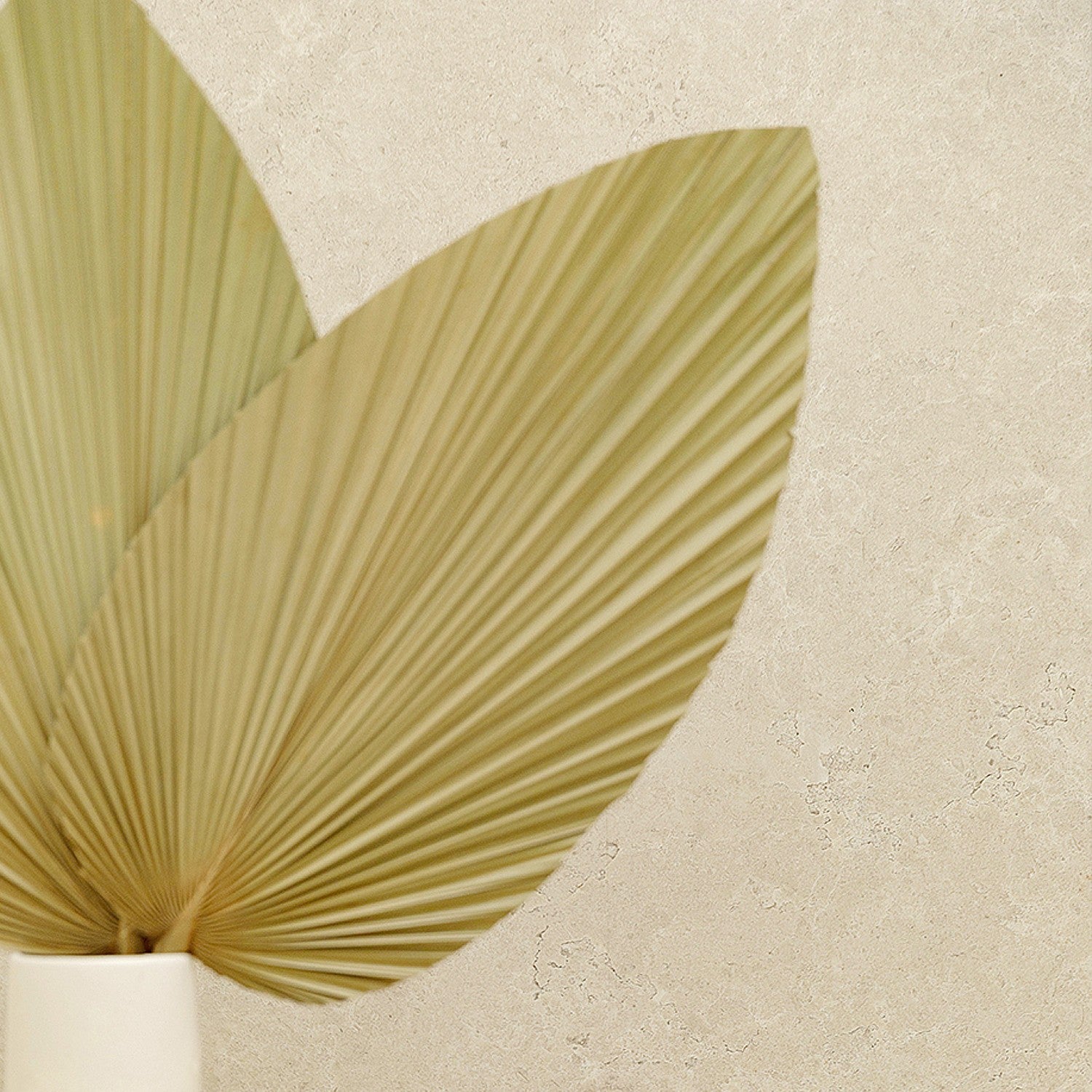 Revêtement Element 3D Travertino