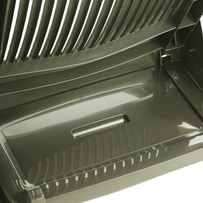 #couleur_Forest Green