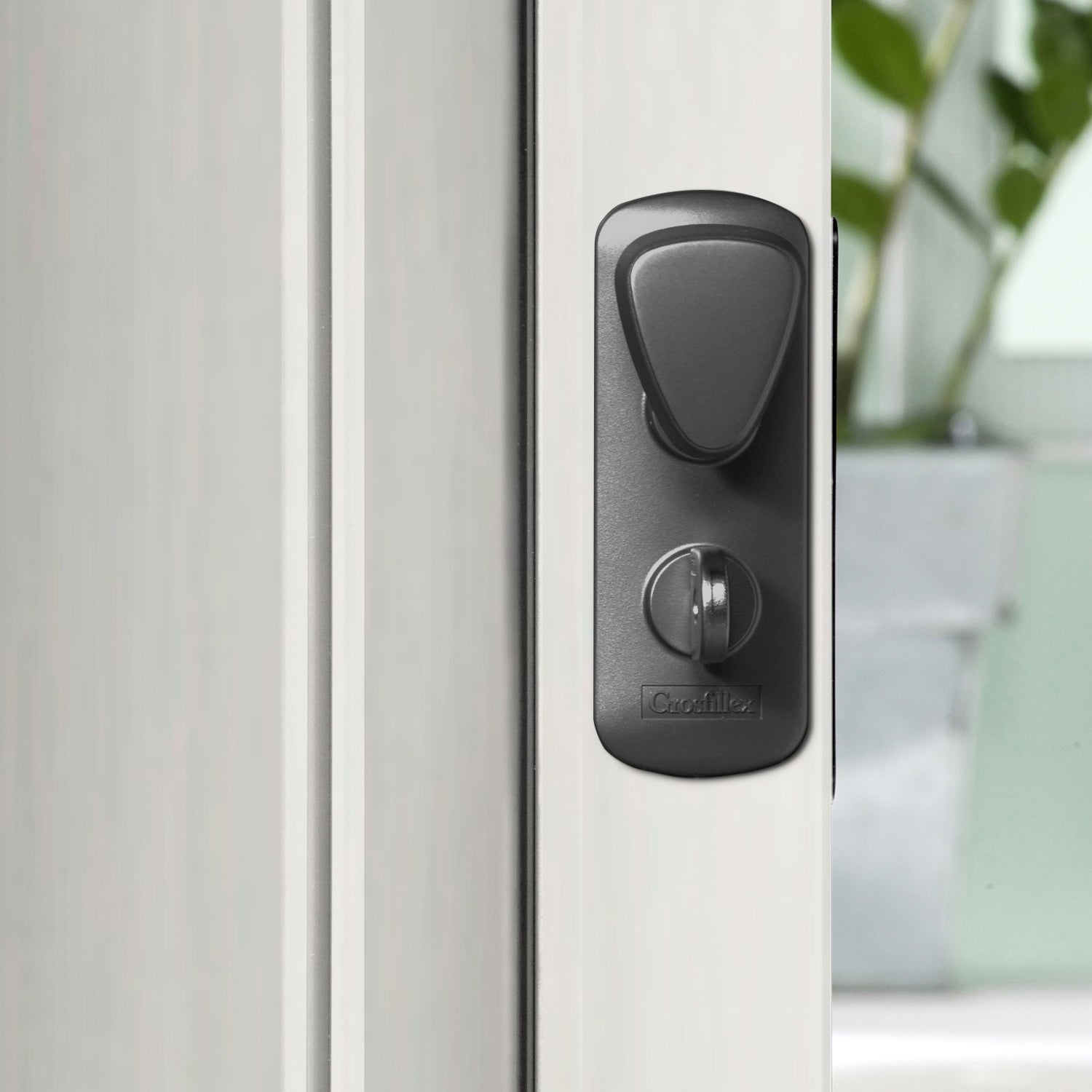 #couleur_Bois blanchi