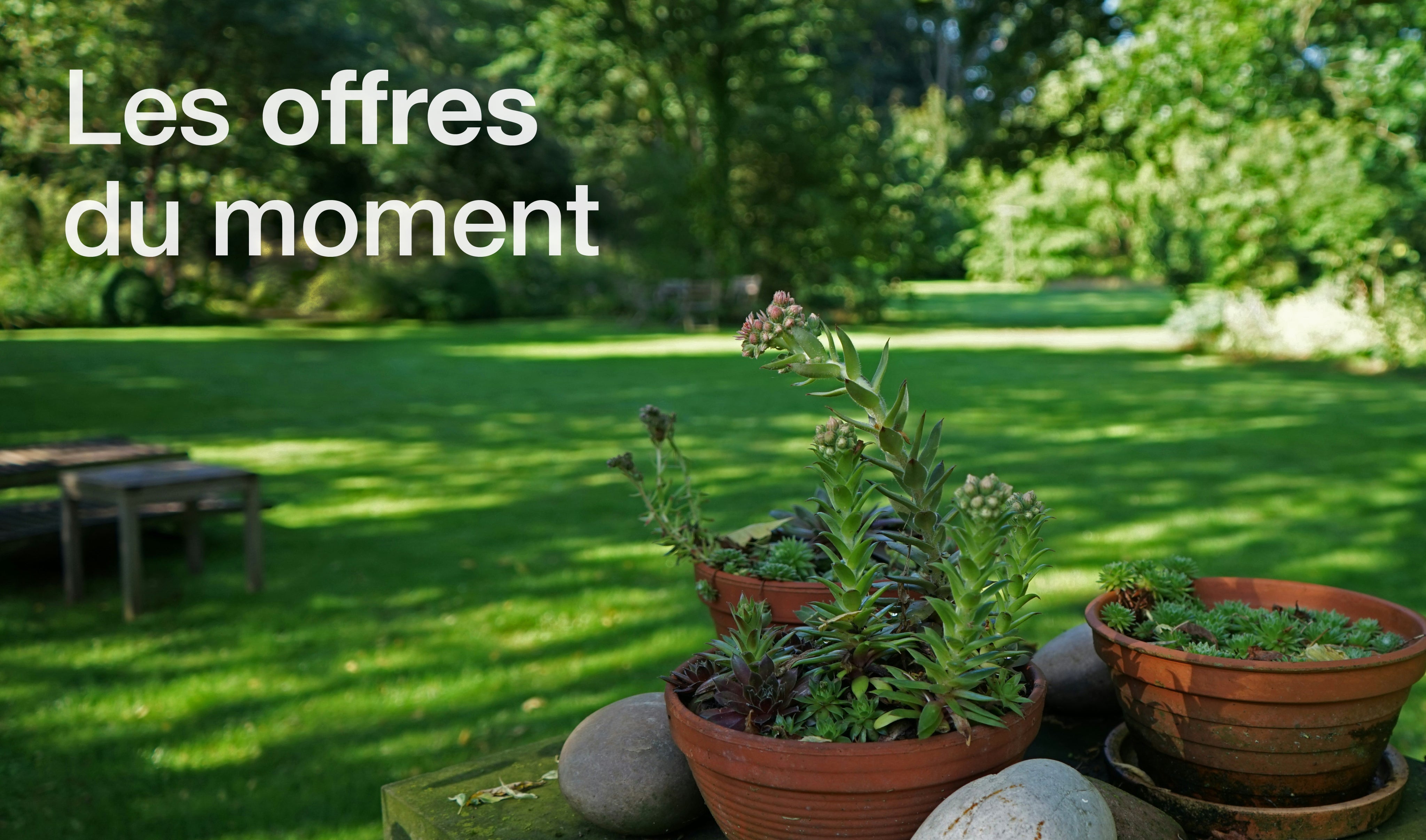 Bonnes affaires - Abri de jardin