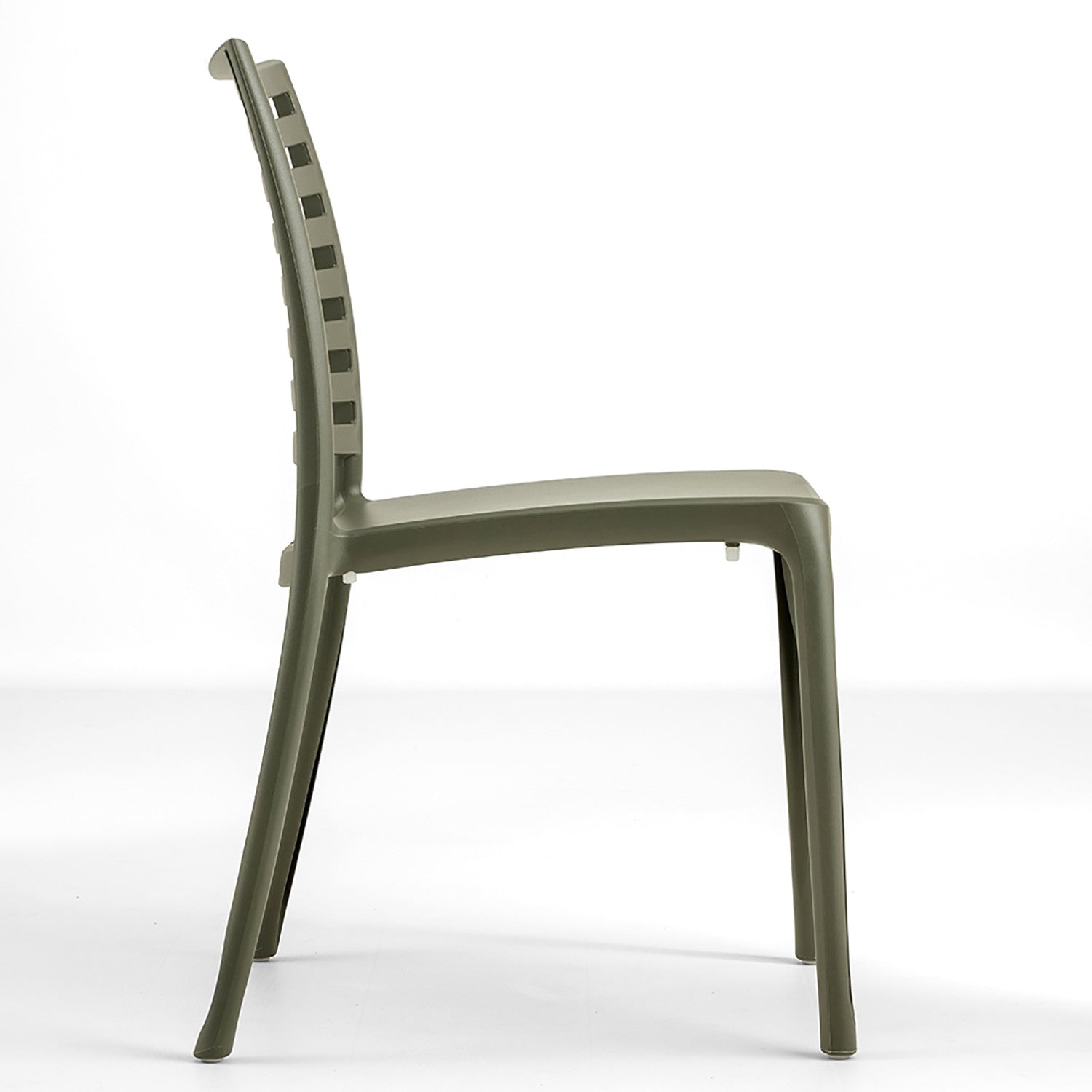 #couleur_Green forest