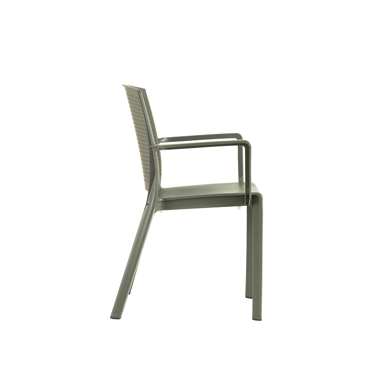 #couleur_Green Forest