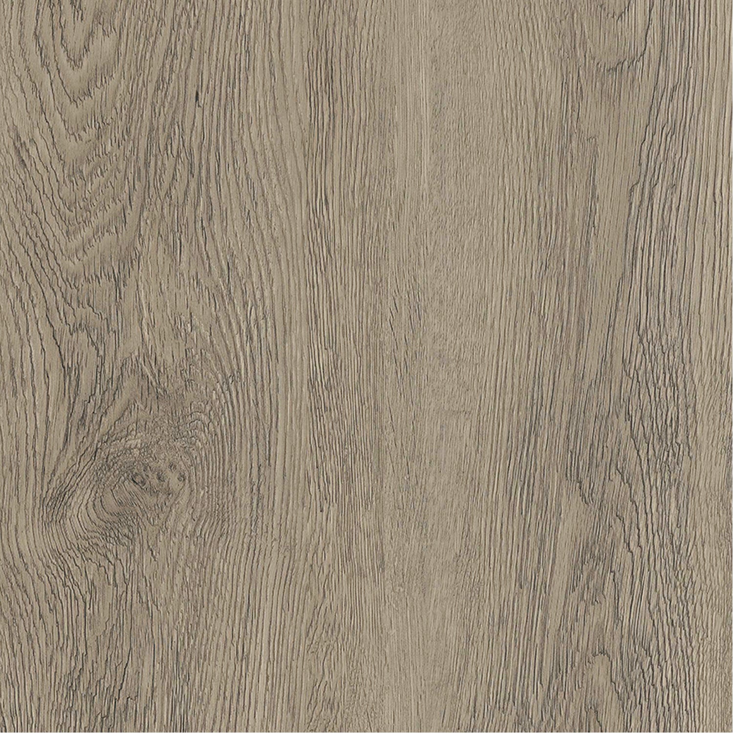 Dalles murales Gx Wall+ Alpine Larch