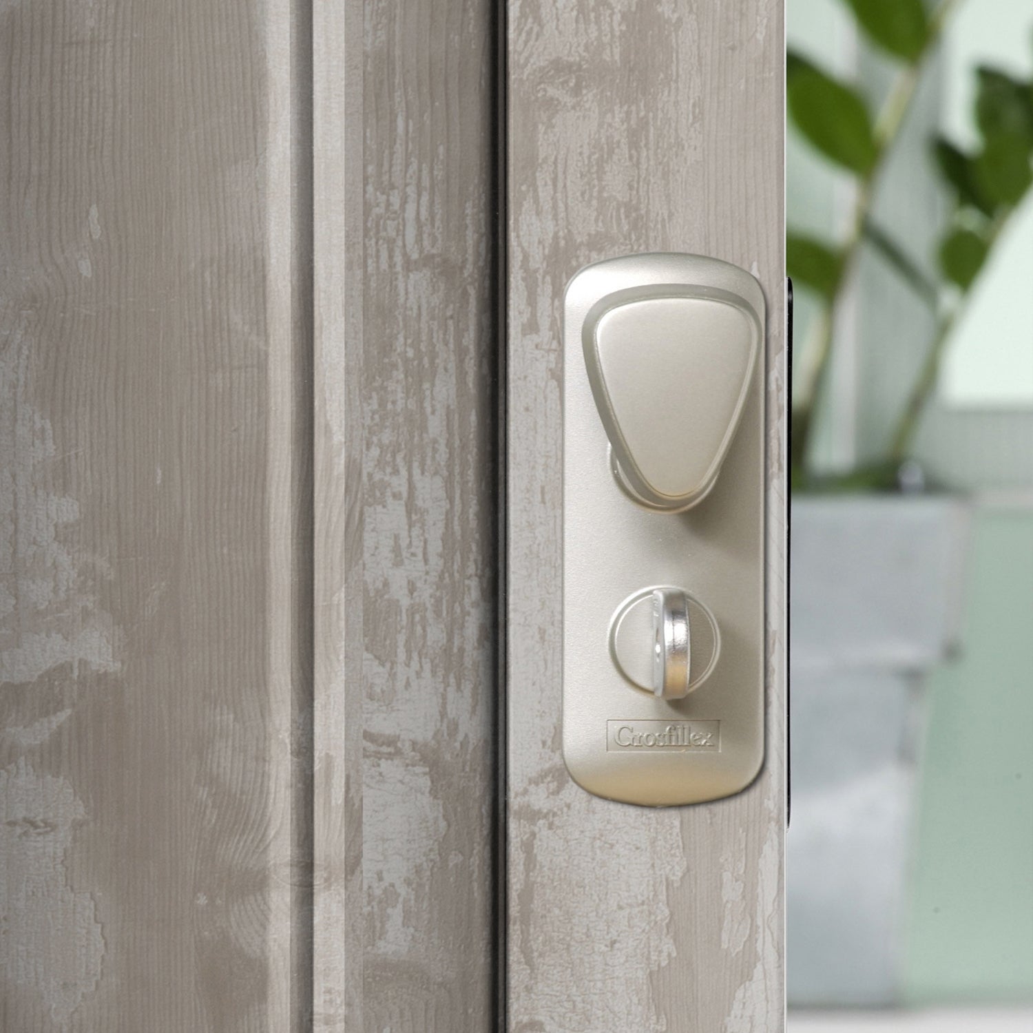 #couleur_Cabane naturel