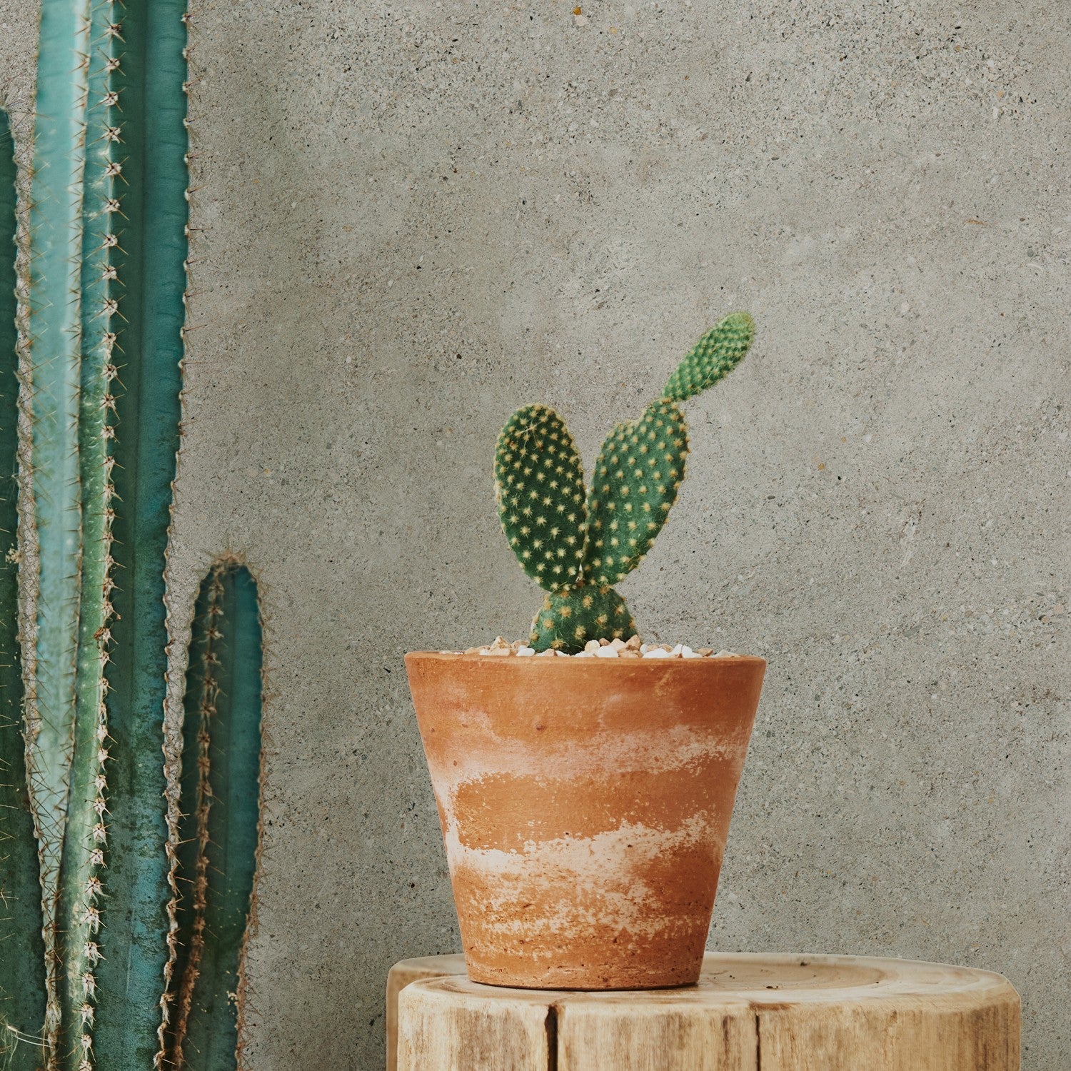 Verkleidung Element 3D Grigio