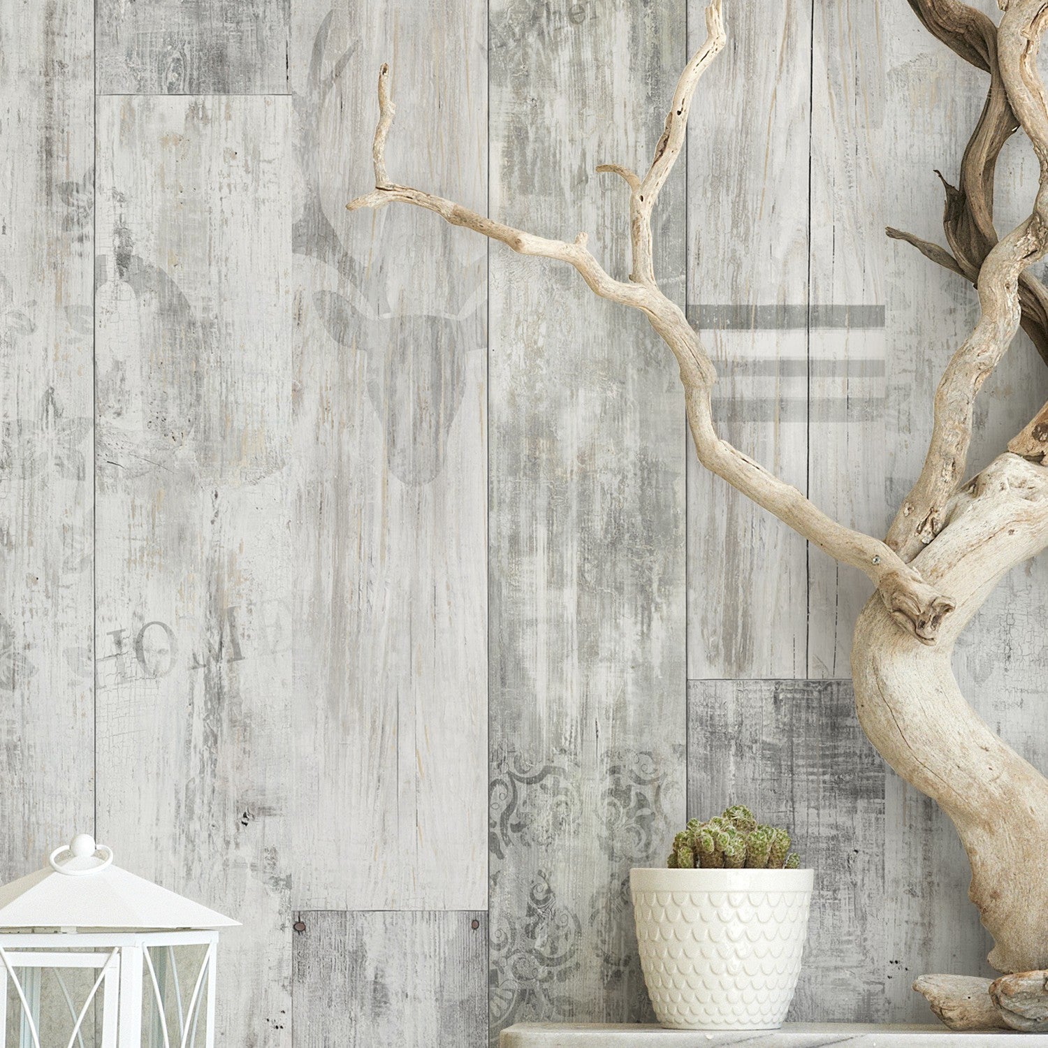 #color_White graphic