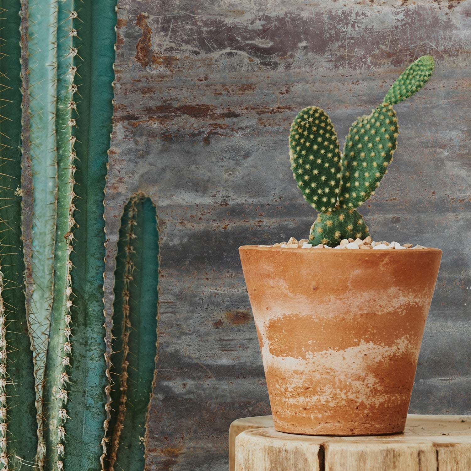 3D Oxidized cladding