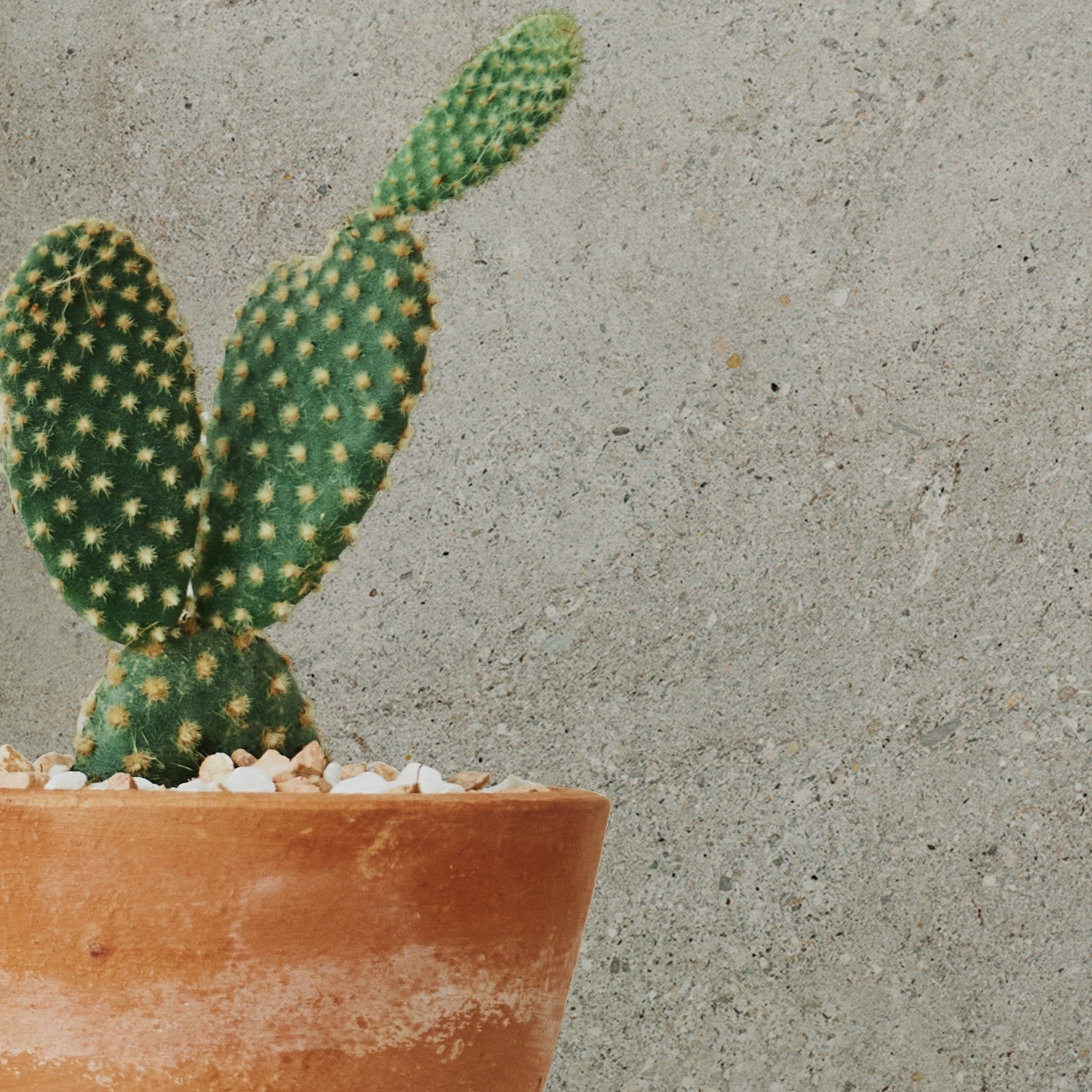 Revestimiento Element 3D Grigio