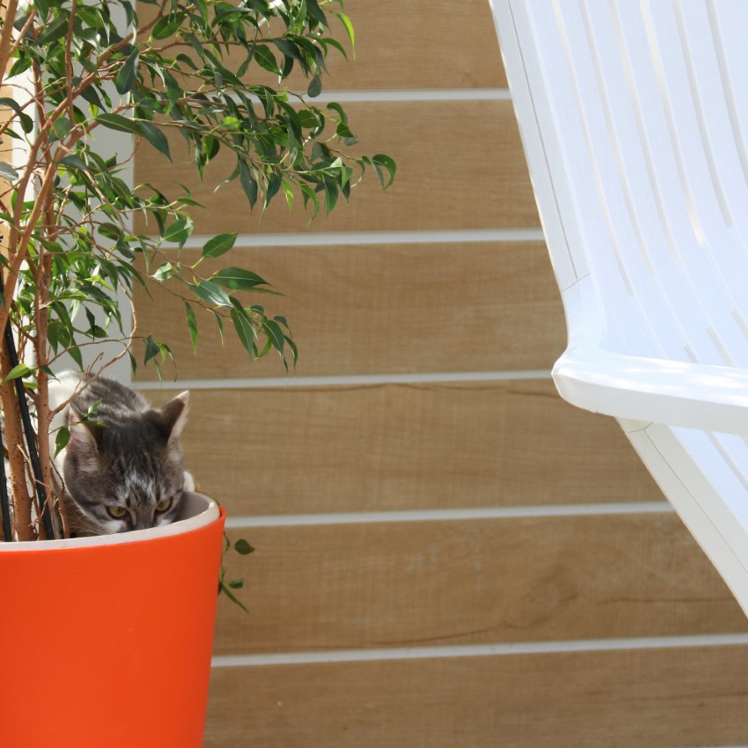 Caseta de jardín de 7,5 m² Sherwood Déco