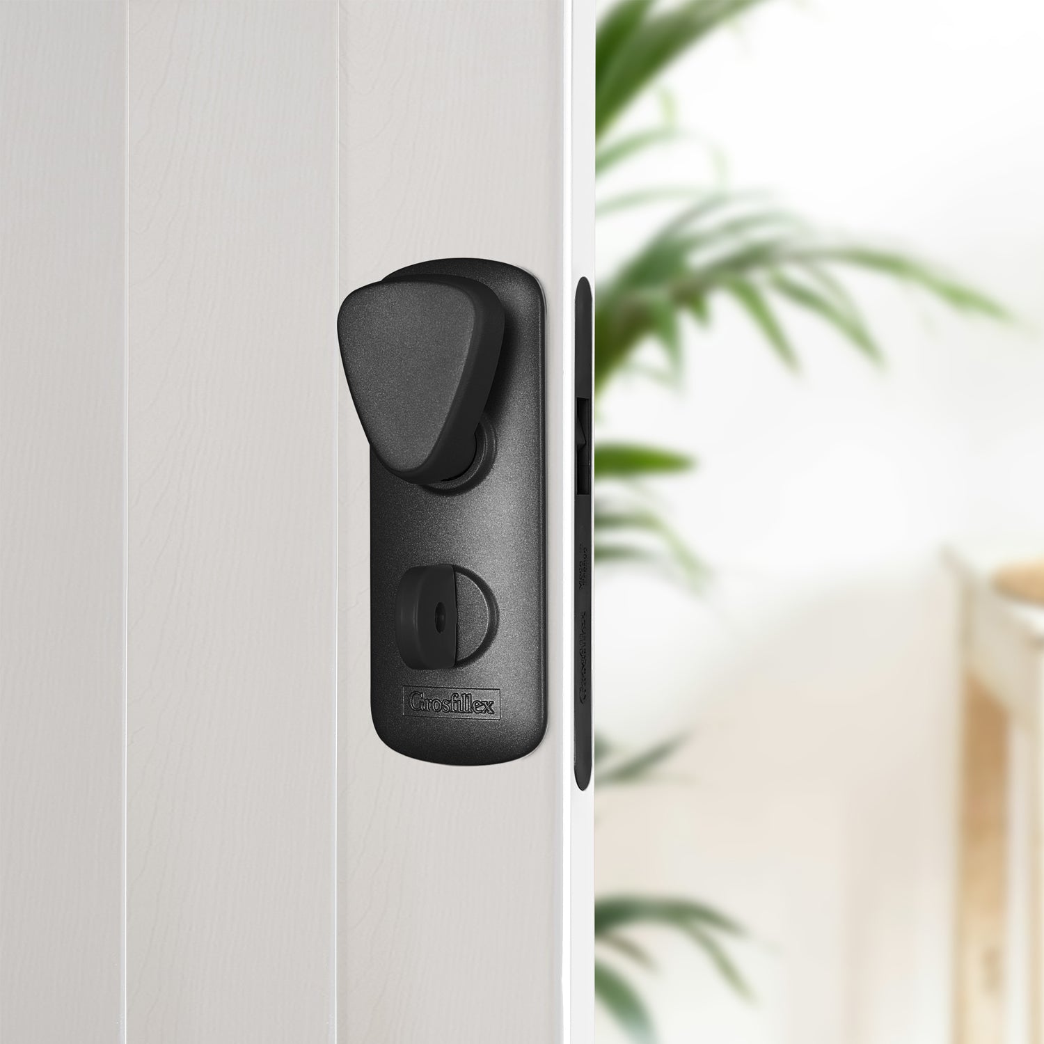 #color_Madera blanca