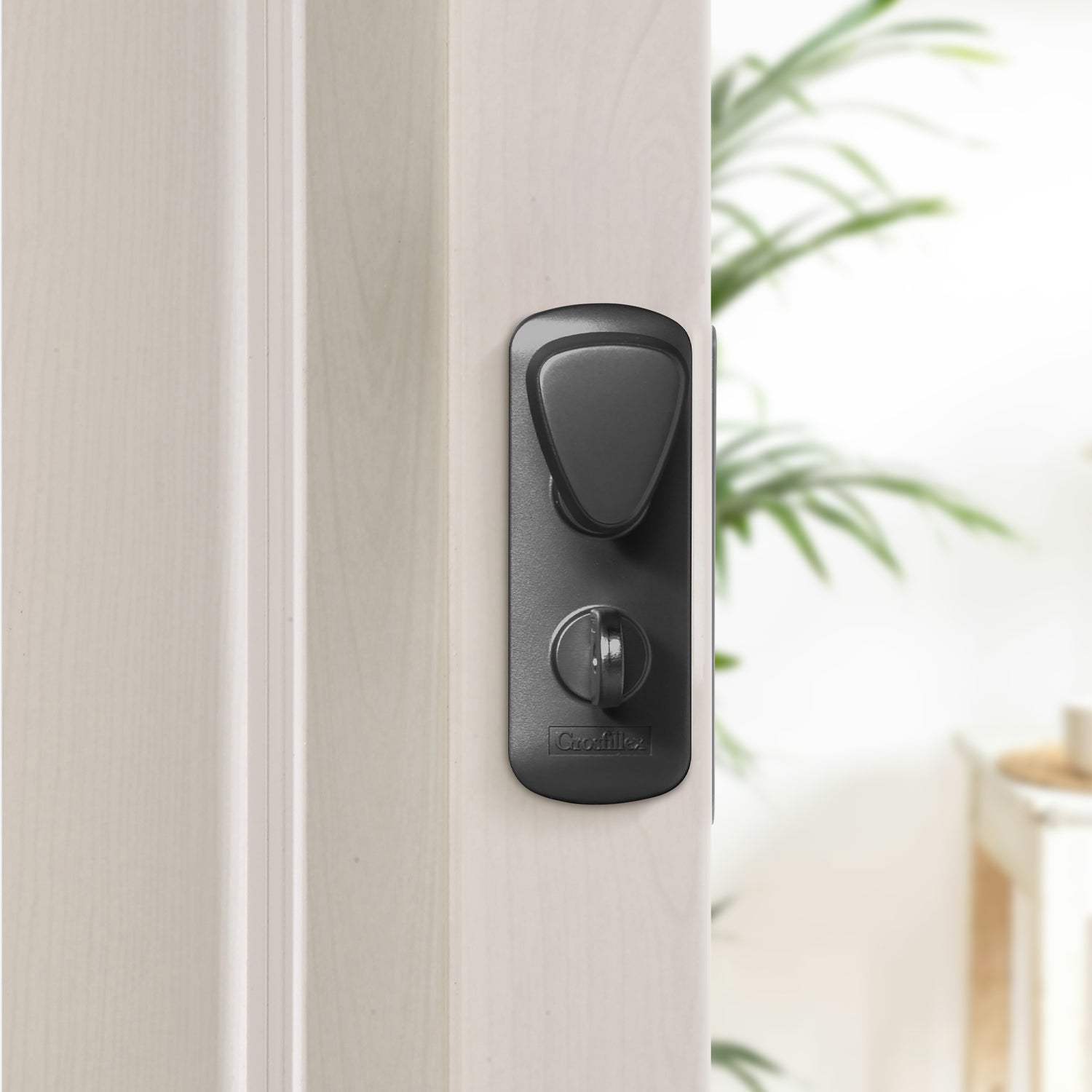 #color_Blanco ceruso